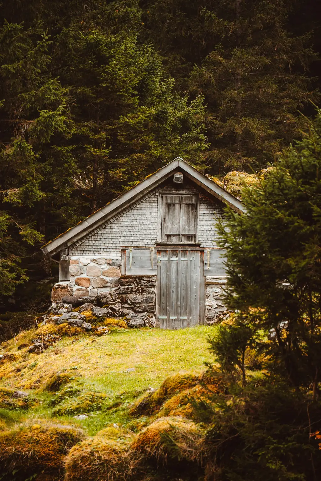 A small stone hut with a weathered timber gable and door, half hidden by pines and mossy rocks.