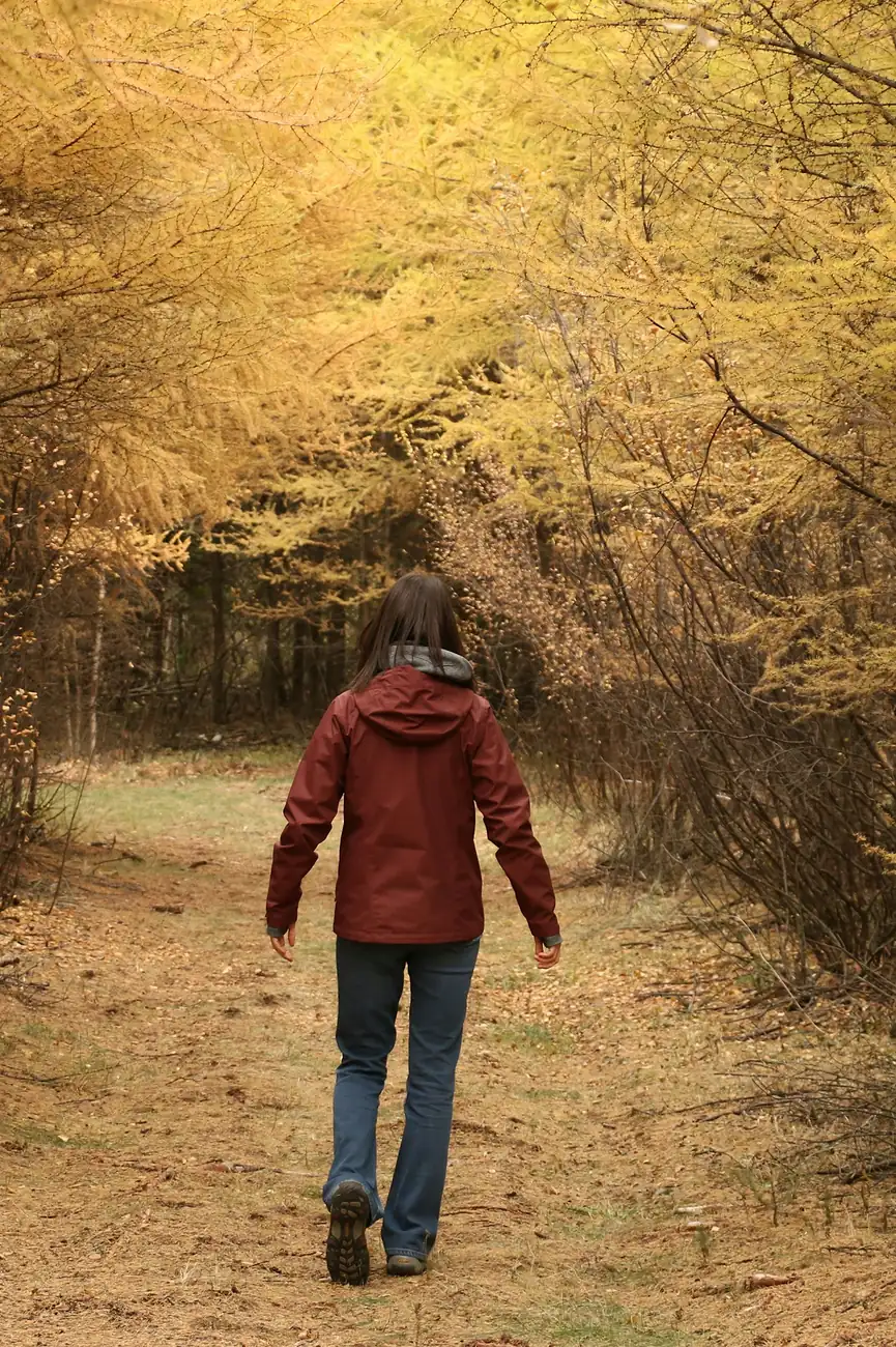 A walker in a red jacket follows a grassy path between golden larches.